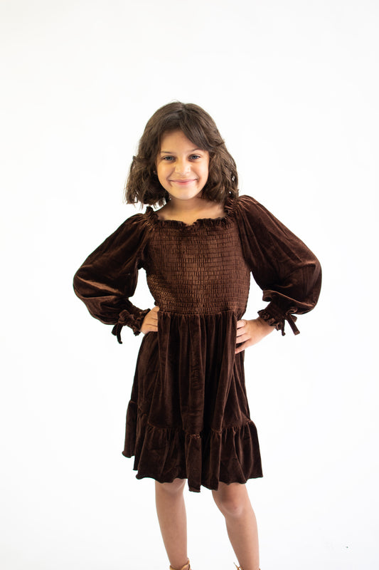 Brown Velvet Vintage Twirl Dress