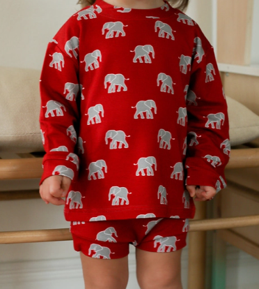 Elephant Bamboo Sweatshirt Set - Top & Bottom - Game Day